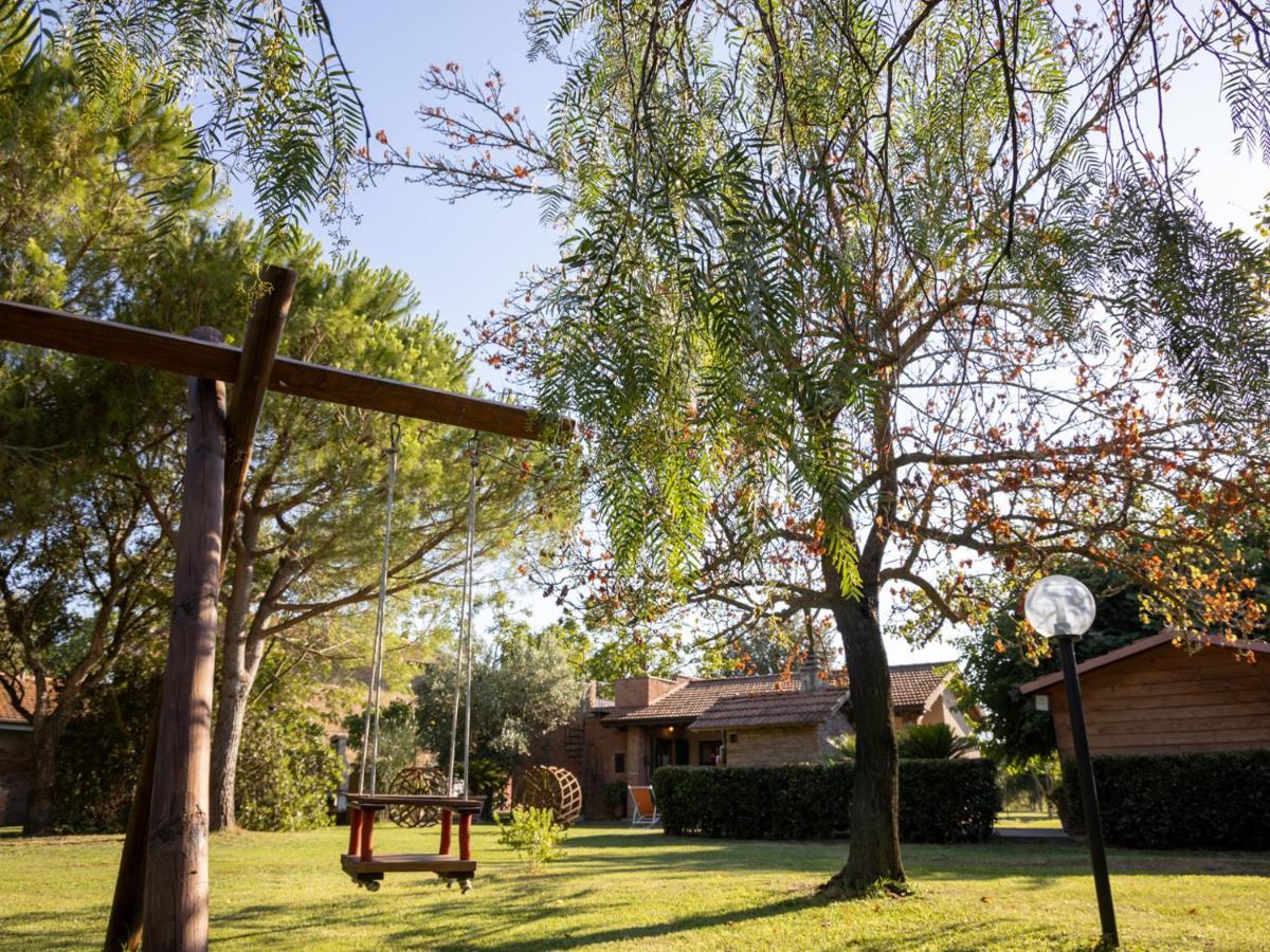 Agriturismo Salcino 格罗塞托 外观 照片