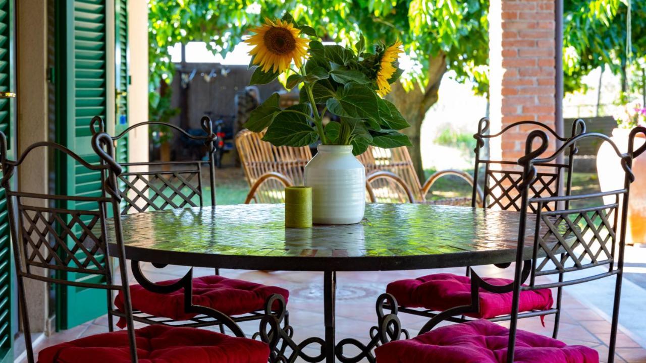 Agriturismo Salcino 格罗塞托 外观 照片