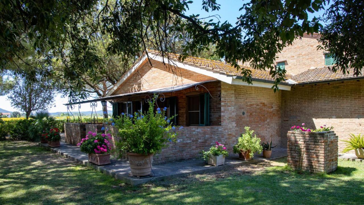 Agriturismo Salcino 格罗塞托 外观 照片