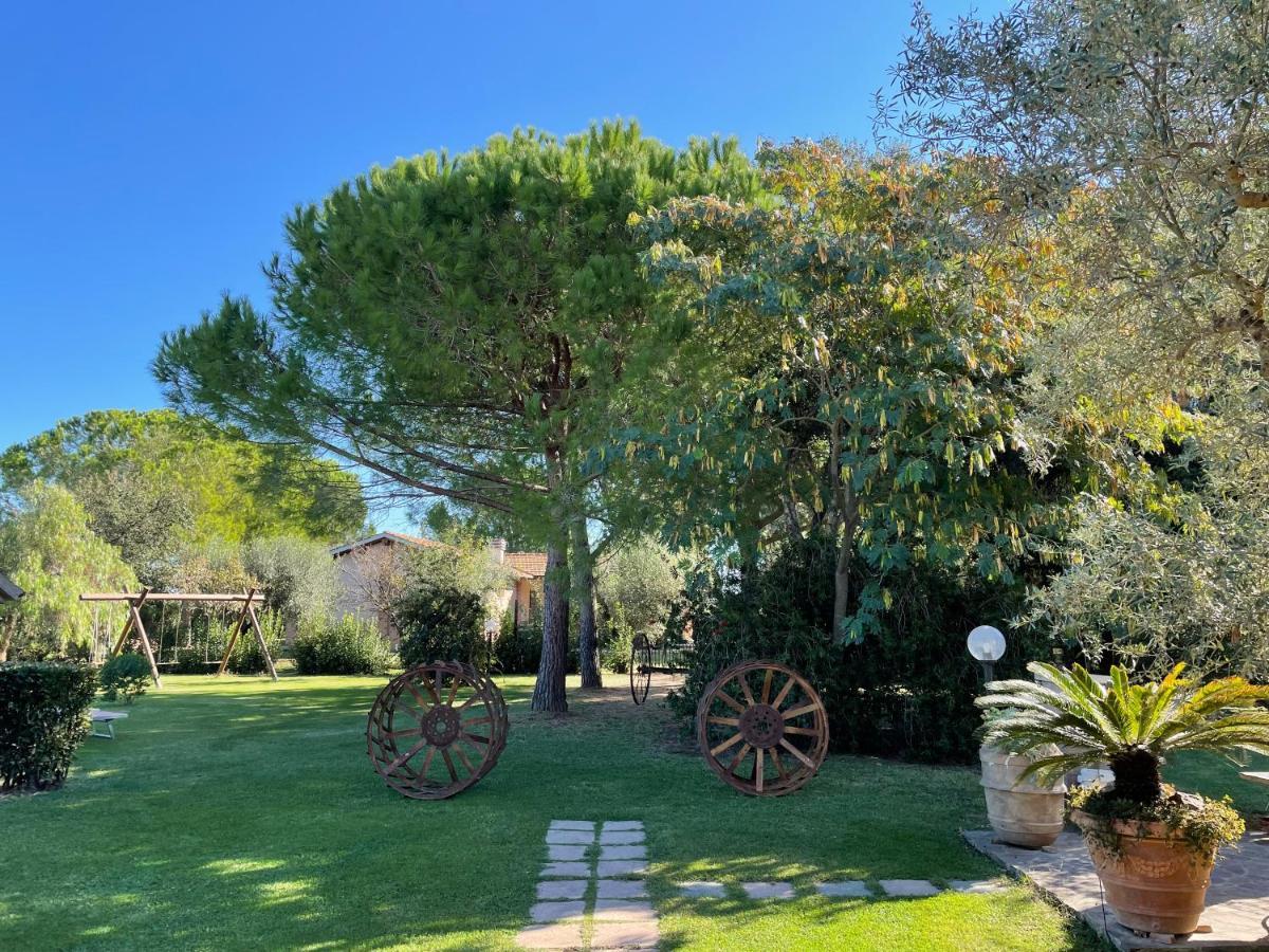 Agriturismo Salcino 格罗塞托 外观 照片
