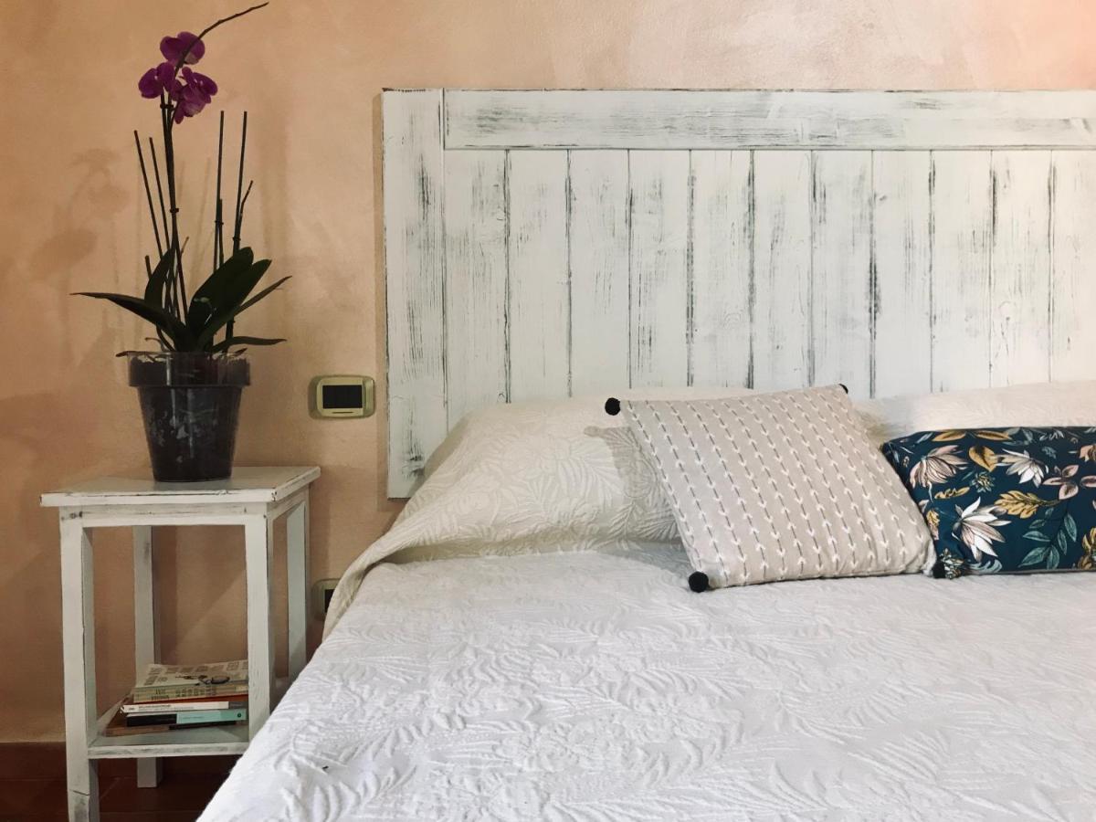 Agriturismo Salcino 格罗塞托 外观 照片