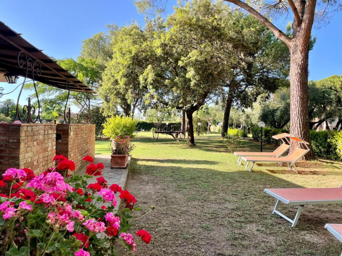 Agriturismo Salcino 格罗塞托 外观 照片