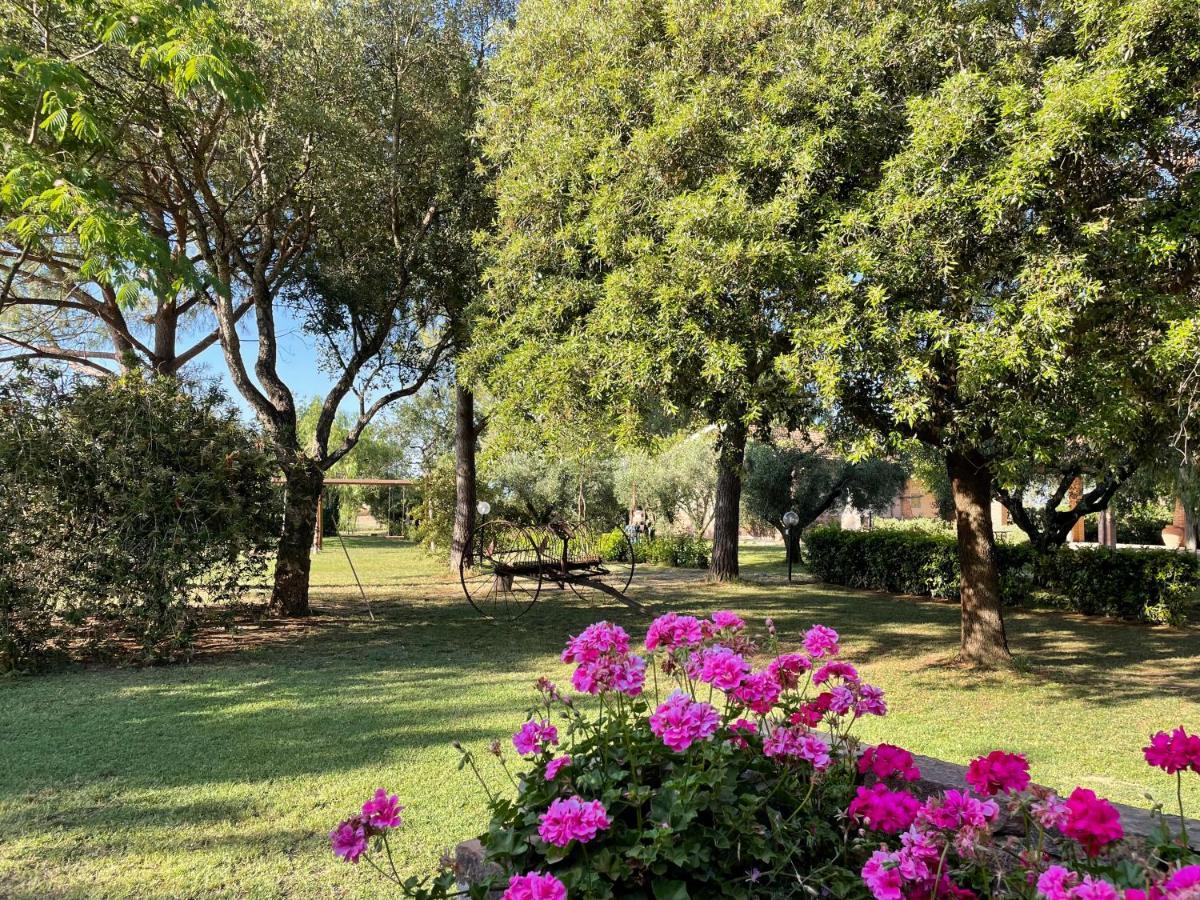 Agriturismo Salcino 格罗塞托 外观 照片