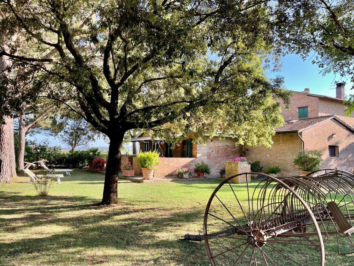 Agriturismo Salcino 格罗塞托 外观 照片