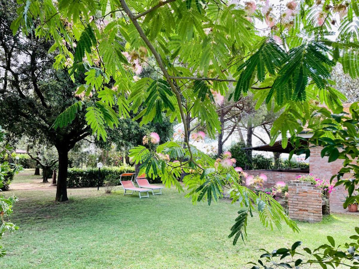 Agriturismo Salcino 格罗塞托 外观 照片