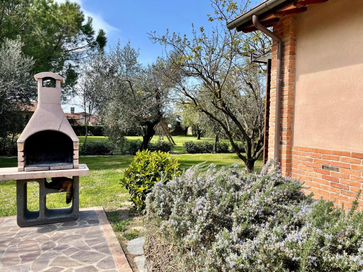 Agriturismo Salcino 格罗塞托 外观 照片