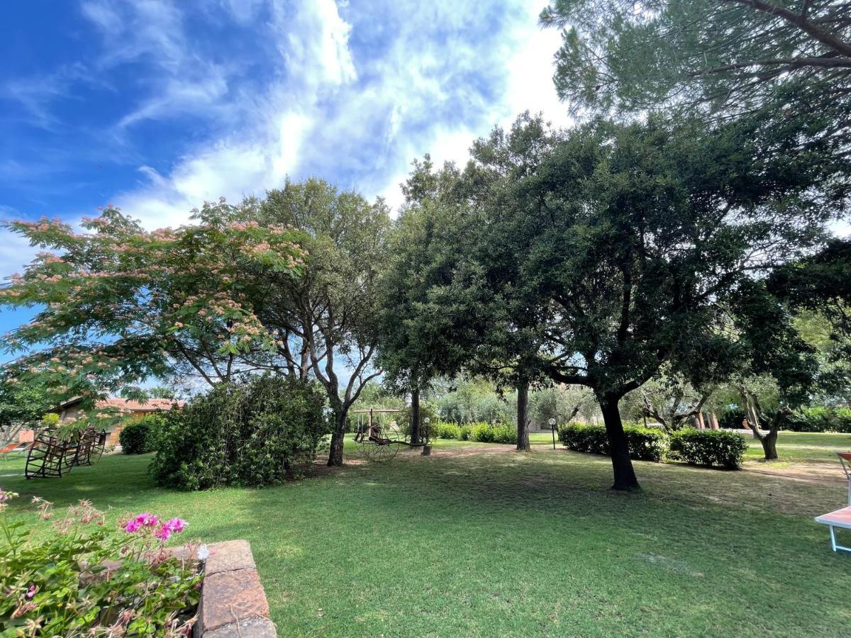 Agriturismo Salcino 格罗塞托 外观 照片