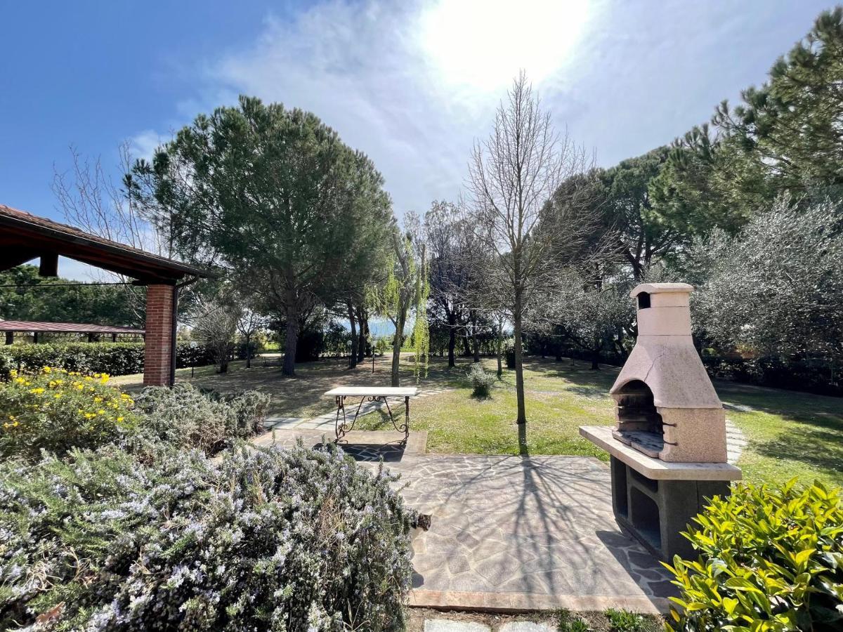 Agriturismo Salcino 格罗塞托 外观 照片
