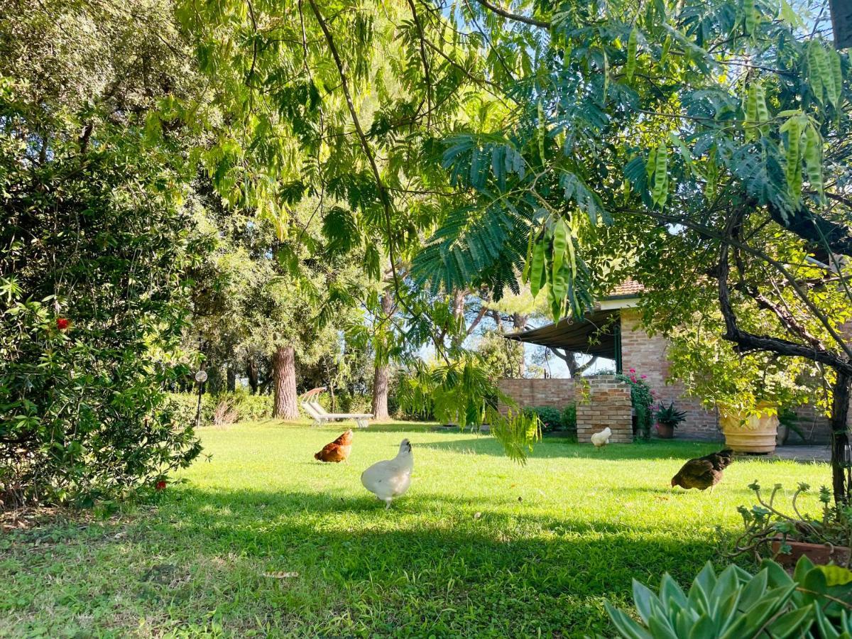 Agriturismo Salcino 格罗塞托 外观 照片
