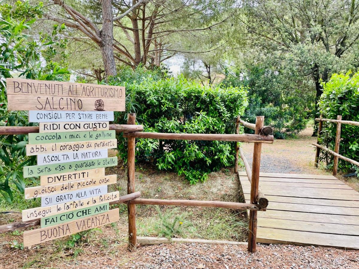 Agriturismo Salcino 格罗塞托 外观 照片