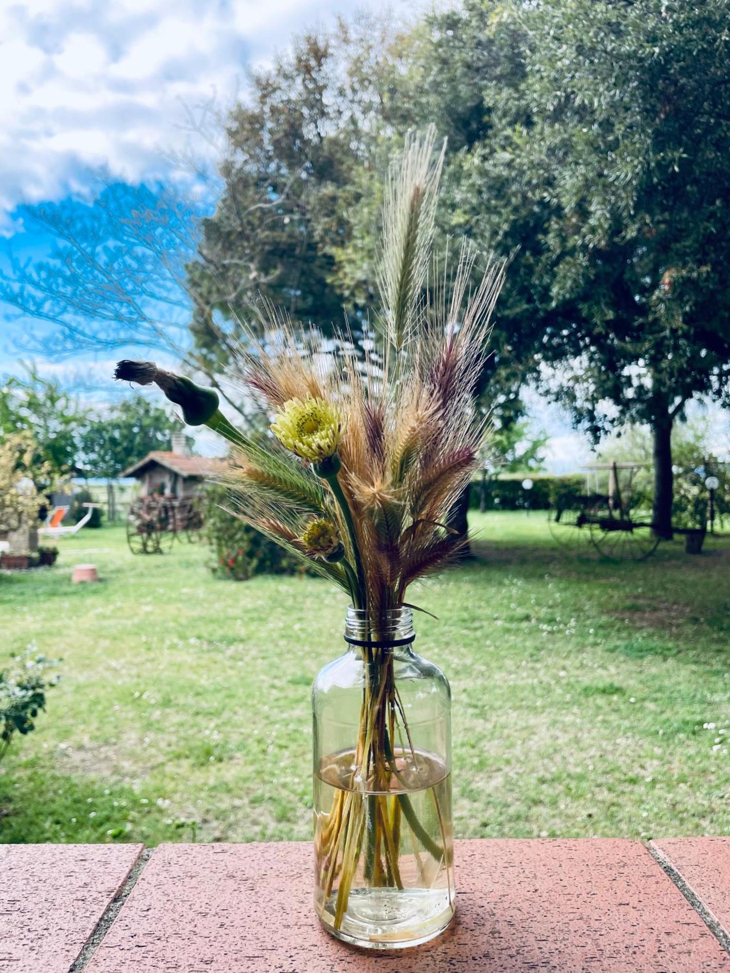 Agriturismo Salcino 格罗塞托 外观 照片