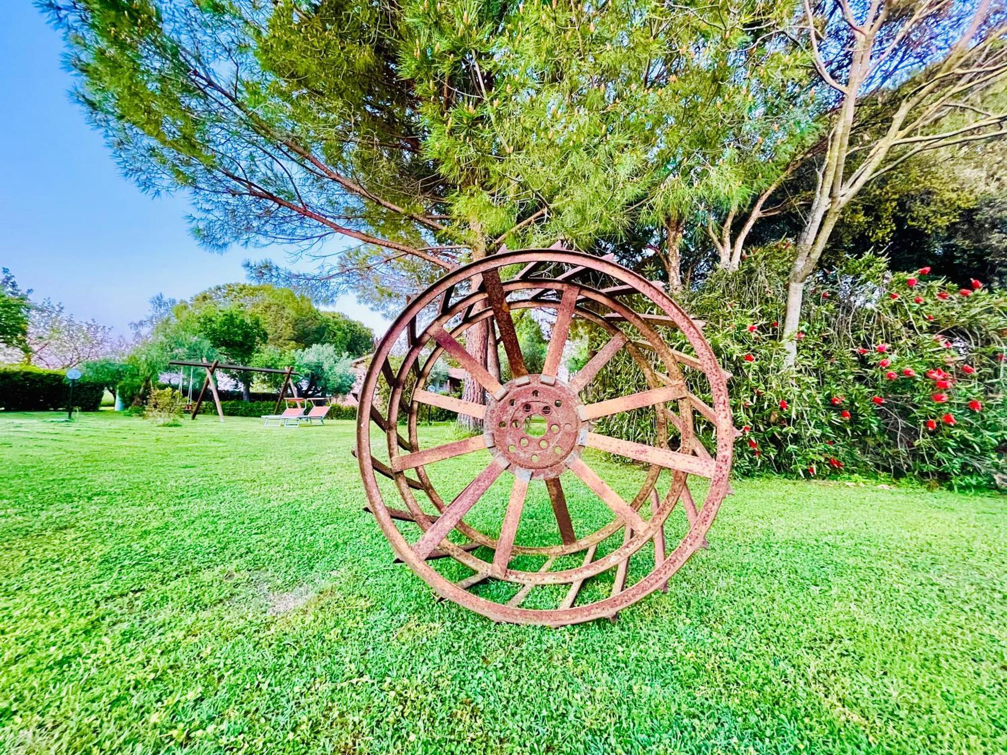 Agriturismo Salcino 格罗塞托 外观 照片