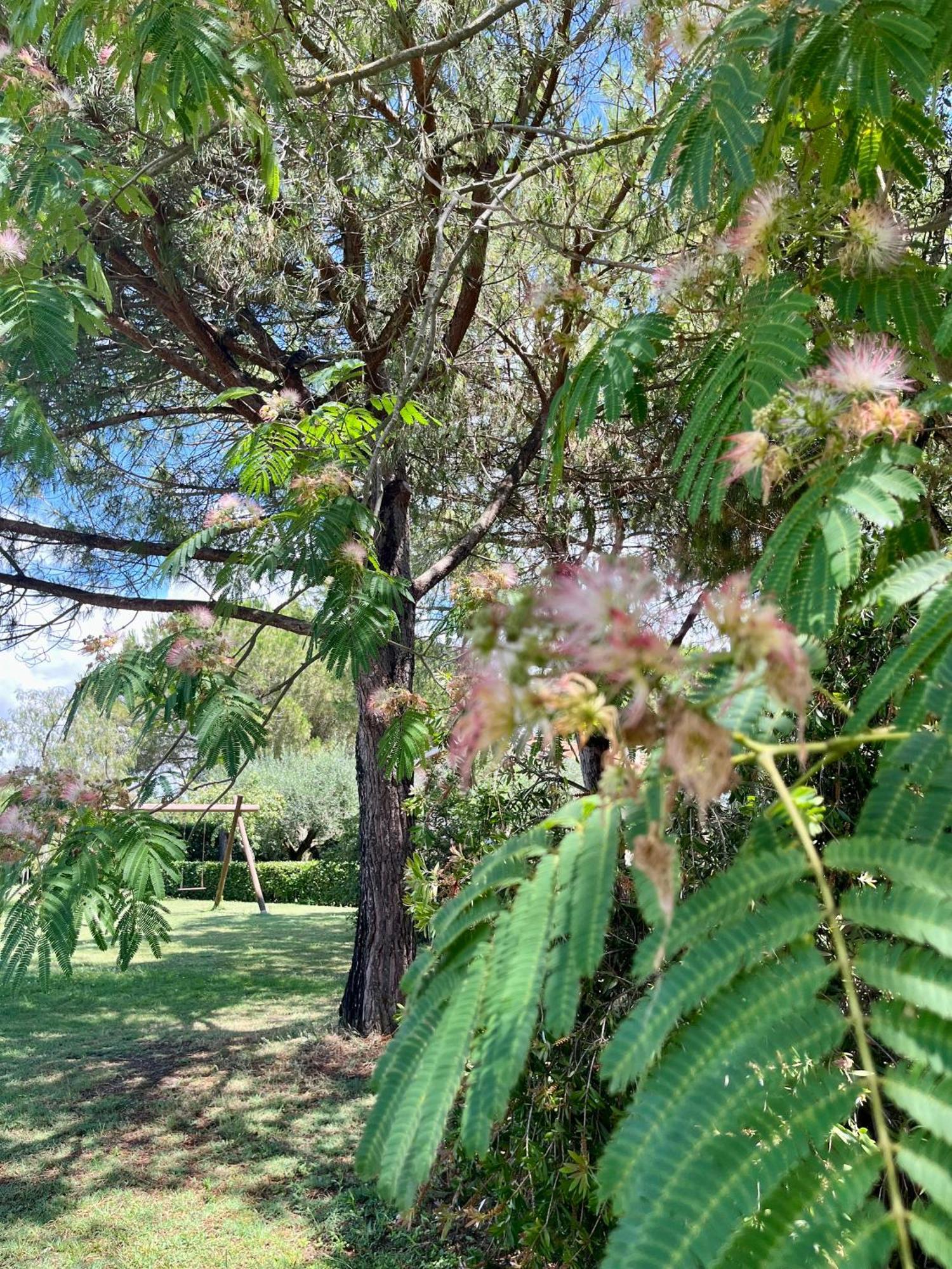 Agriturismo Salcino 格罗塞托 外观 照片