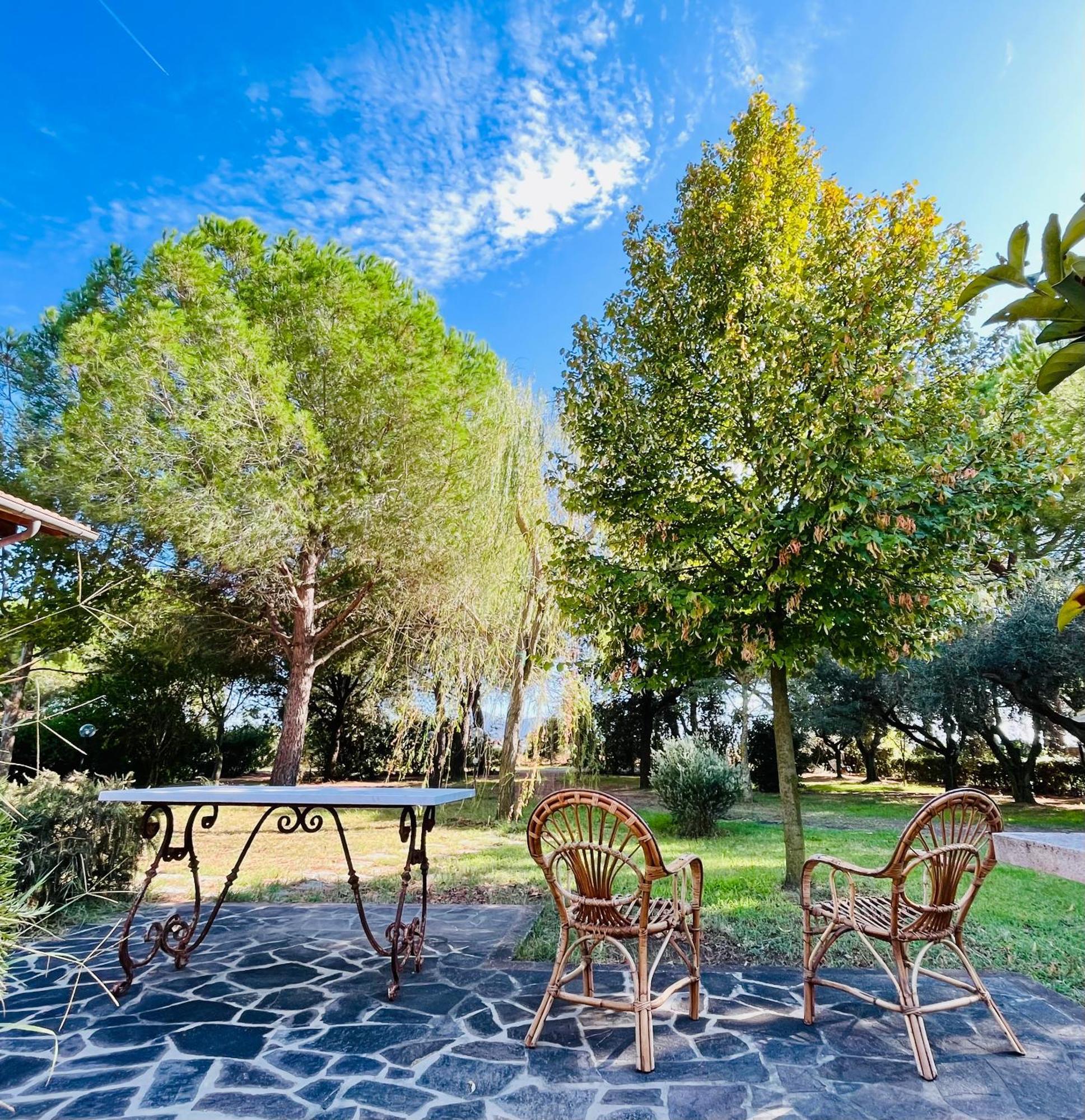 Agriturismo Salcino 格罗塞托 外观 照片