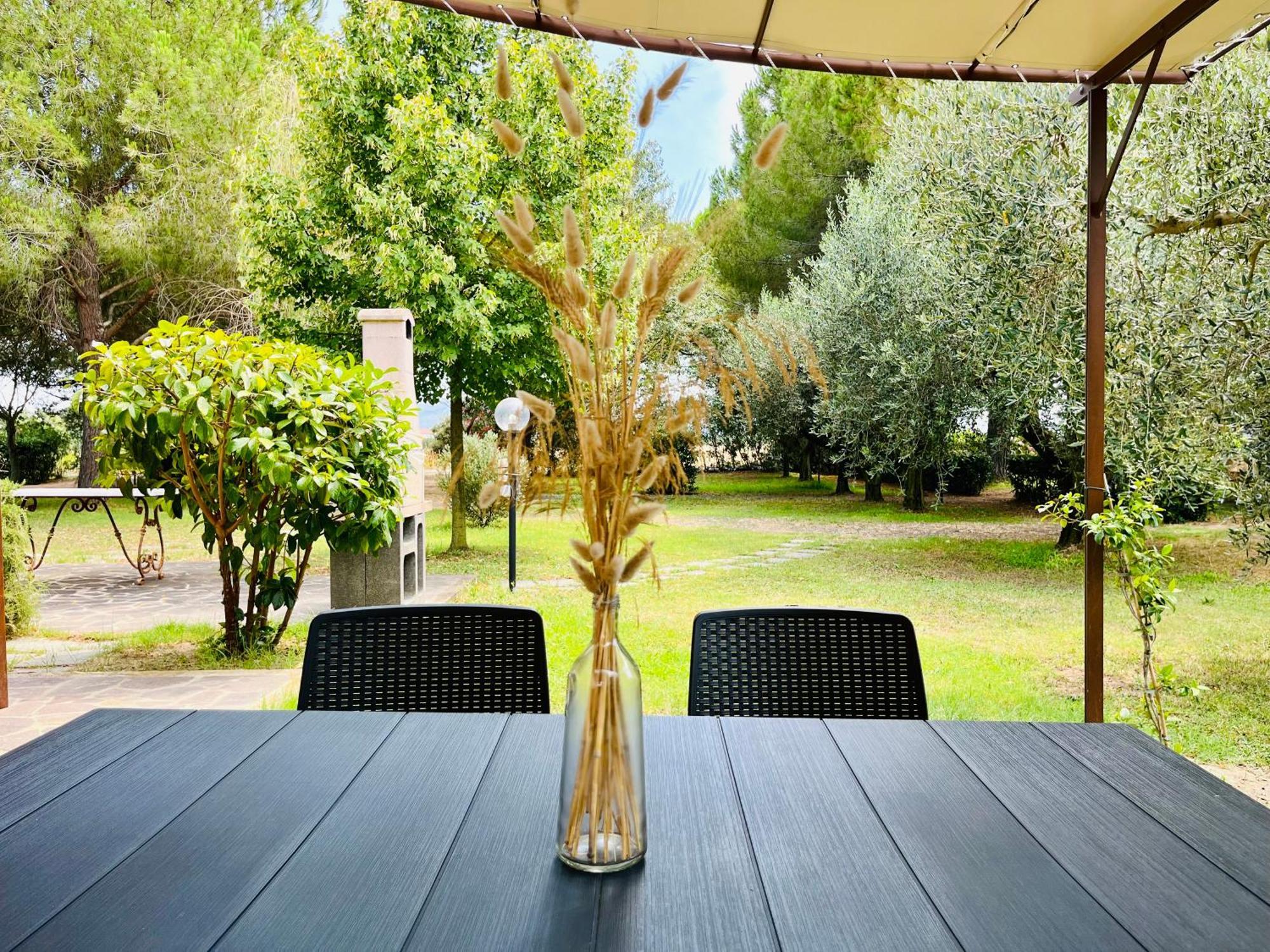 Agriturismo Salcino 格罗塞托 外观 照片